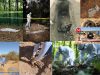 Edafol-forense