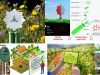Flores-artificiales-y-agricultura-de-precsion