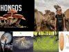 Nobel-Medio-Ambiente