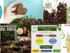 Salud-del-Suelo-2024-USDA
