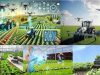 agricultura-futuro