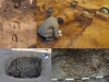 artefactos-de-valor-cultural-enterrados-bajo-el-suelo