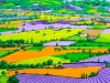 paisaje-agrario-fuente-daily-con
