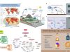 propiedades-materia-suelos-microplasticos