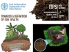 salud-del-suelo-itps-fao-2020