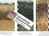 world-soil-the-year-2024