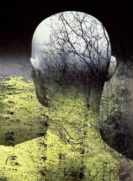 la-ecologia-del-hombre-fuente-planta-humano-tierra