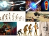 bipedestacion-evolucion-humana