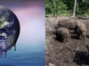 degradacion-ambiental-pocilga-global