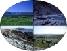 edafosfera-fuente-earth-science