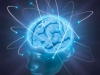 image-istockphotomind-reviews-train-the-brain_1