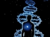individuo-e-individiualidad-fiente-blog-en-nuevo-despertar_0