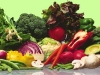 o_Calidad de suelos y alimentos