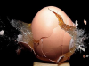 o_El huevo