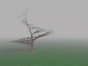 o_Fractal animation