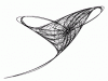 o_Imagen fractal SEQUENCE