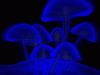 o_mushrooms