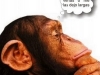 o_reflexion