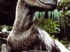 o_velociraptor