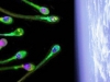 panspermia-fuente-blog-arturo
