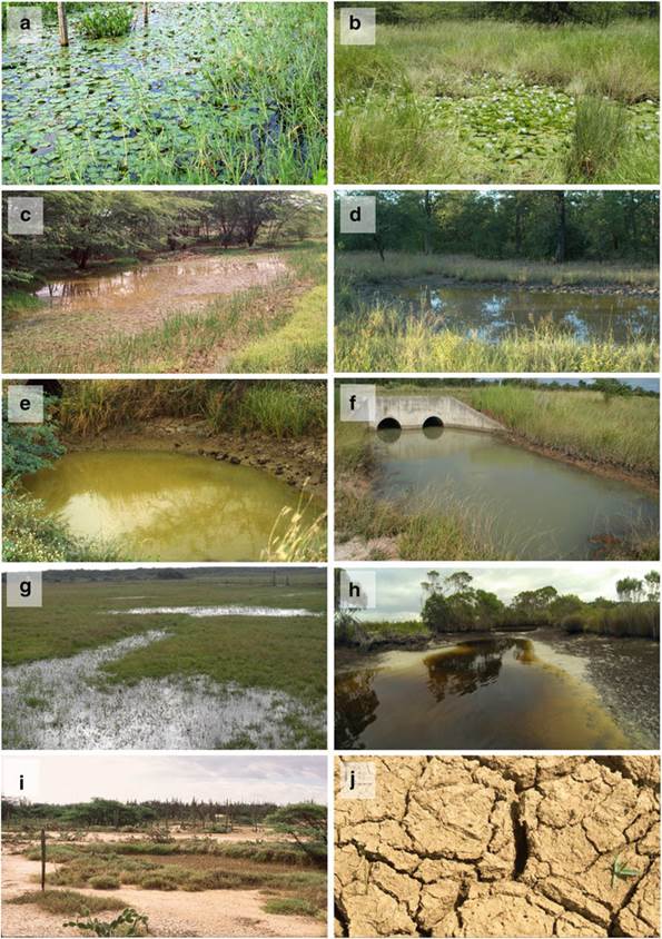 habitat-peces-de-lluvia-en-latinoamerica