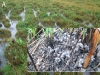 campos-de-monticulos-guayana-francasa-fuente-pnas