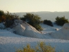 Estabilización de de las dunas de Yeso por la vegetación (Cuatrociénegas, México)