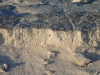 Cementación de las dunas de Yeso (Cuatrociénegas, México)