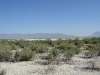 o_Desierto de Coahuila 2 008