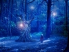 o_bosque