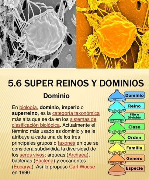 1-mas-que-un-superreino-bajo-el-suelo