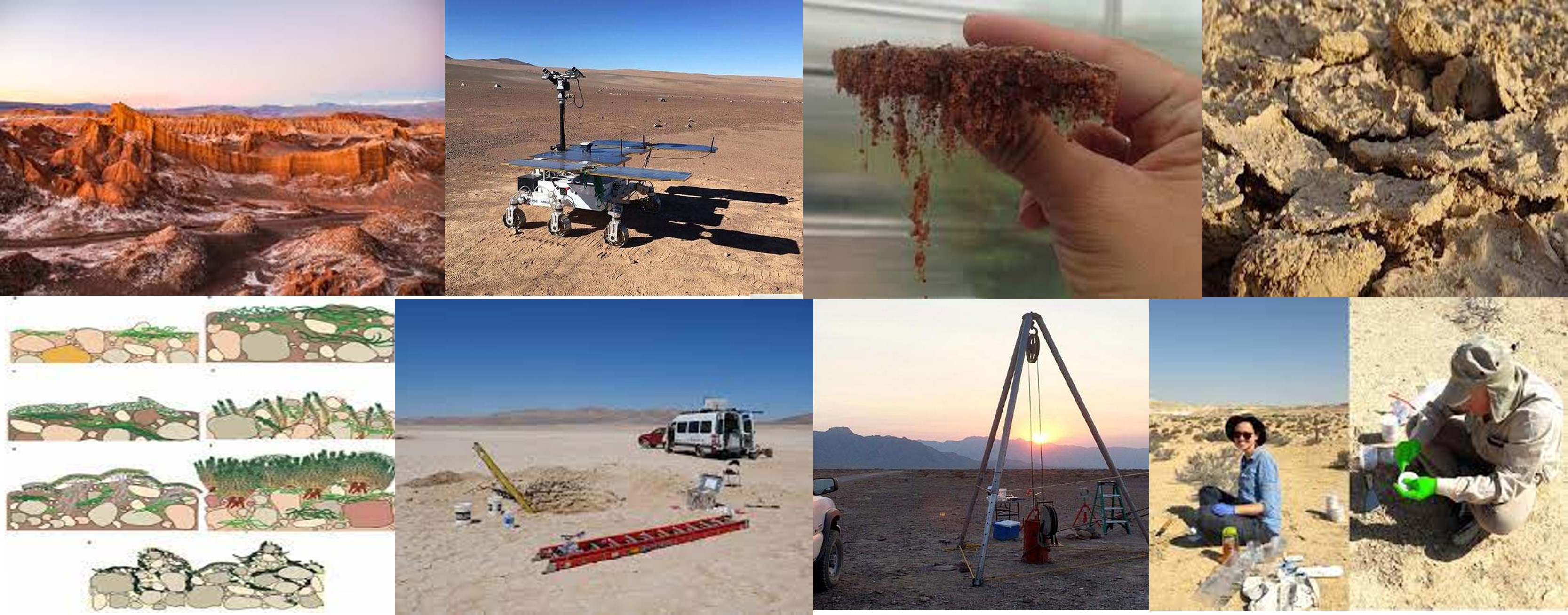Atacama-bacterias-de-arriba-a-bajo