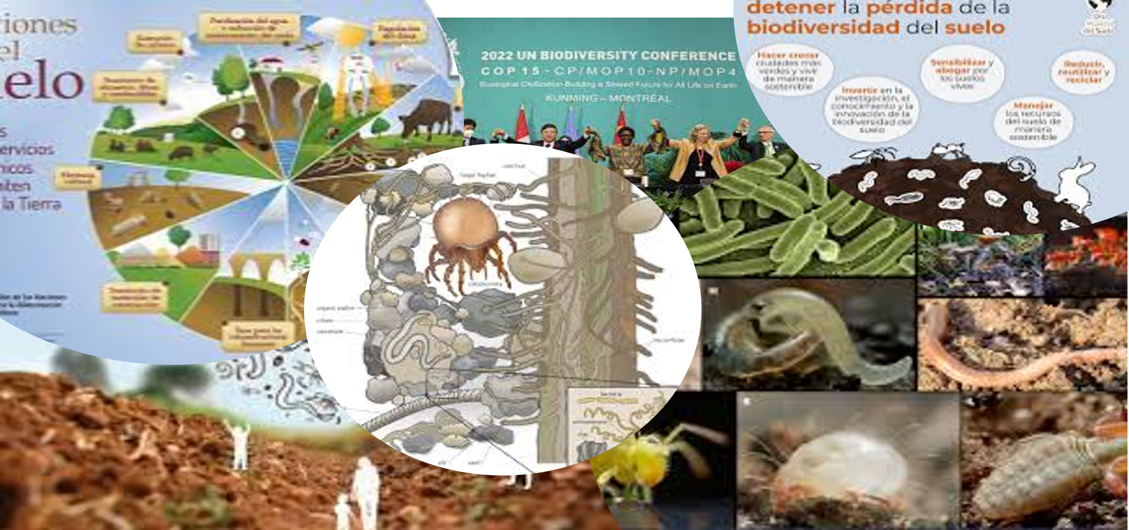 Cop15Documentos-oficiles-suelo