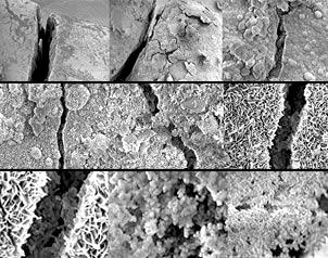 bacillafilla-fuente-blog-interartix