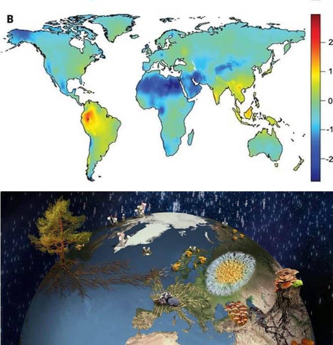diversidad-hongos-del-mundo