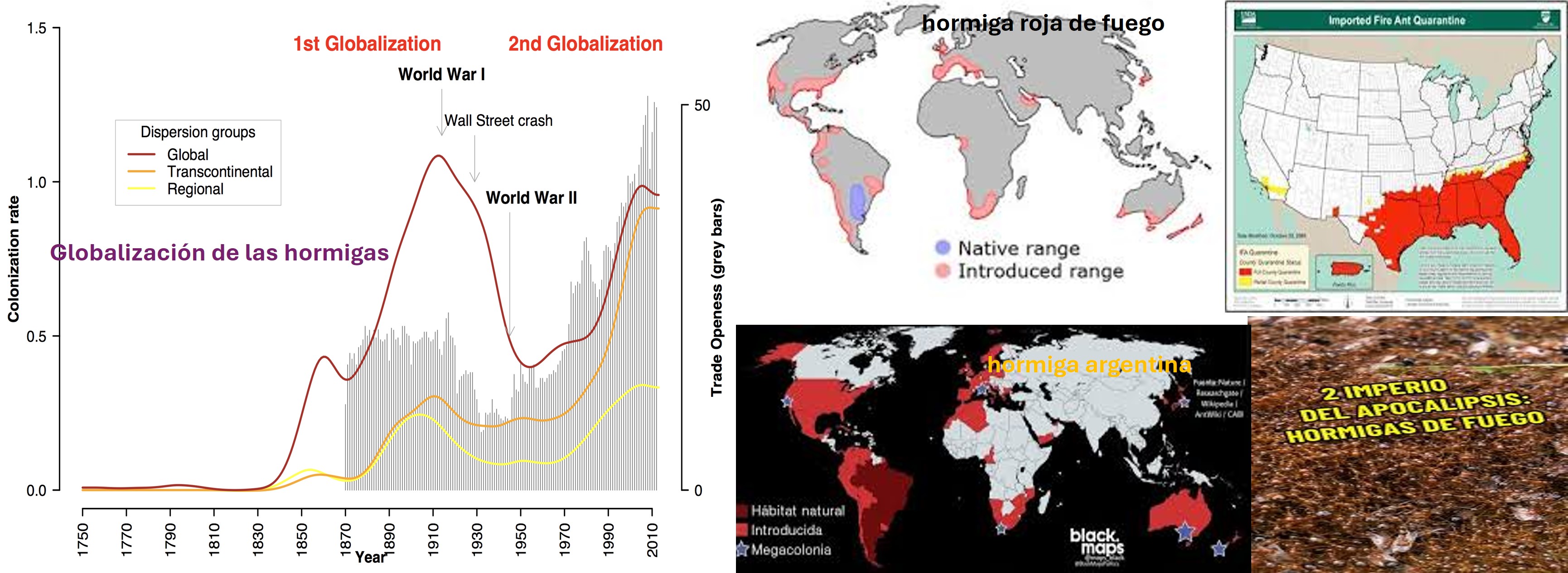 globalizacion-hormigas