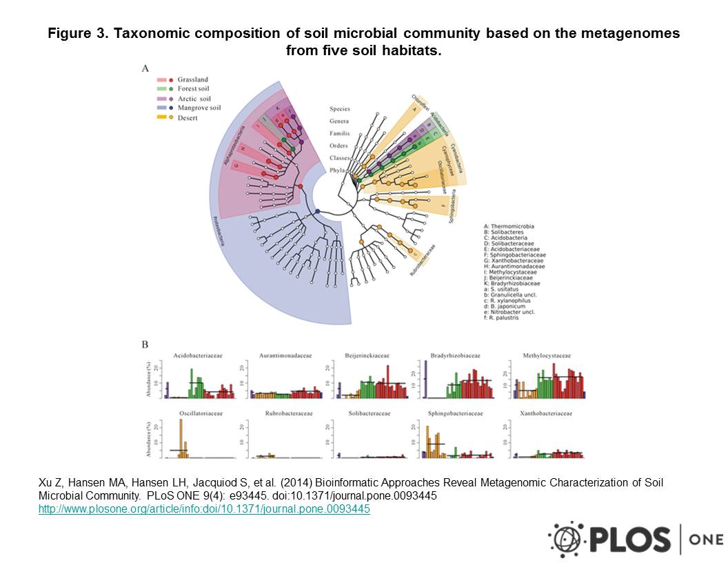 microbiomas-de-los-suelos