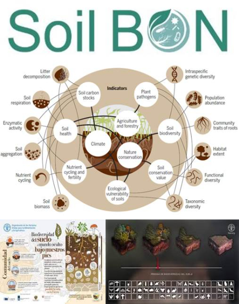 soil-bon-biodiversidad-del-suelo