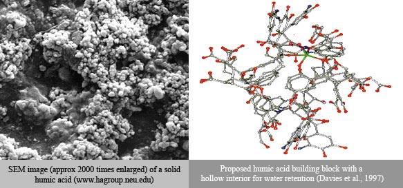suatancias-humicas-sem