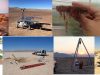Atacama-bacterias-de-arriba-a-bajo