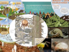 Cop15Documentos-oficiles-suelo