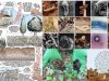 Diversidad-mundal-suelo