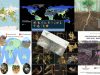 Global-soilFungy