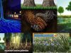 LENGAJE-DE-LAS-PLANTAS
