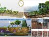 Sucesion-ecologica