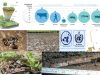Zona-critica-terrestre-y-abejas