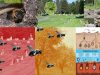 abeja-cementario