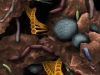 antibioticos-suelos-metagenomica