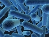 bacterias-en-la-estratosfera-fuente-wuwt