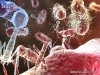 bacteriofago-atacando-a-e-coli-fuente-edtotal-com